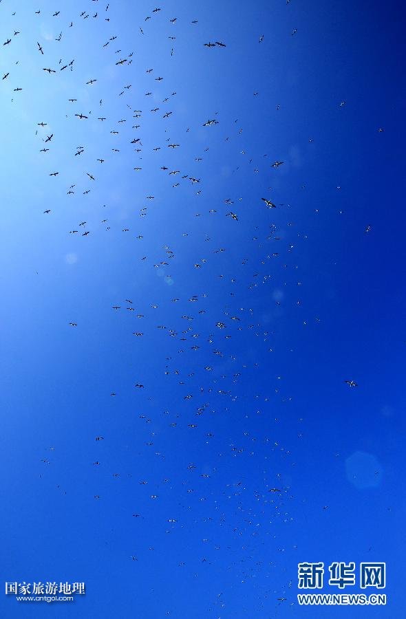 (國際·關注文化遺產(chǎn))(11)聖基爾達島:被遺棄的文明