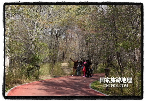 扎蘭屯市五彩繽紛賞秋色“游人如織”(圖)