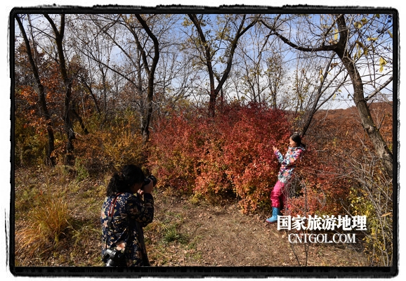 扎蘭屯市五彩繽紛賞秋色“游人如織”(圖)